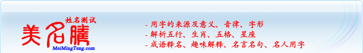 用字的來源及意義、音律、字形；五行、生肖、五格、星座；成語釋名、趣味解釋、名言名句、名人用字